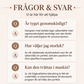 Kvinnors ärmlös dubbellagersklänning